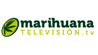 Marihuana TV